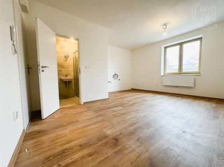 prázdná místnost s radiátor, dřevěná podlaha, a přirozené světlo | Pronájem bytu, 1+kk, 23 m²