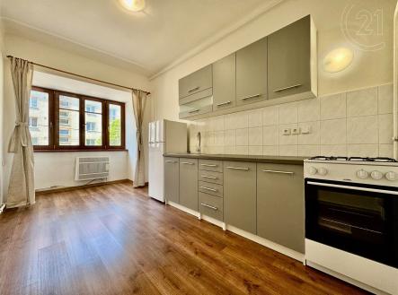 Pronájem bytu, 1+1, 44 m² obrázek