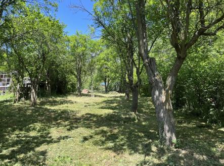 . | Prodej - pozemek, zahrada, 339 m²