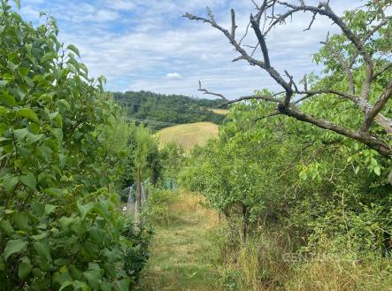 . | Prodej - pozemek, zahrada, 1 358 m²