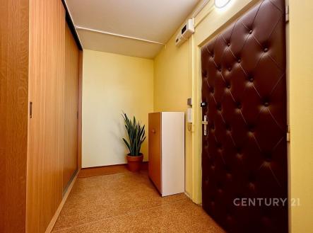 . | Pronájem bytu, garsoniéra, 67 m²