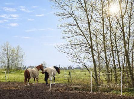 . | Prodej - pozemek pro bydlení, 1 707 m²