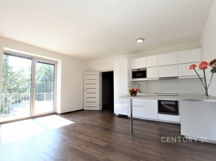 . | Pronájem bytu, 2+kk, 59 m²