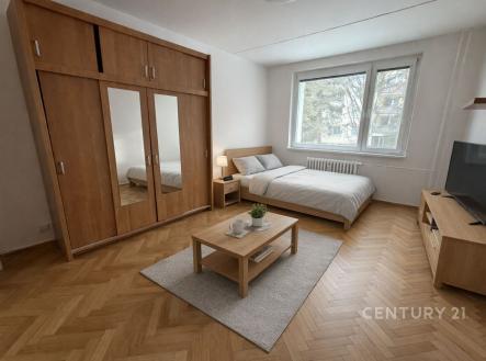. | Pronájem bytu, 1+1, 36 m²