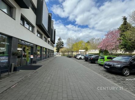 . | Pronájem bytu, 2+kk, 74 m²