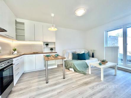 Pronájem bytu, 3+kk, 50 m² obrázek