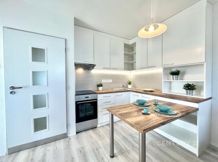 . | Pronájem bytu, 3+kk, 50 m²