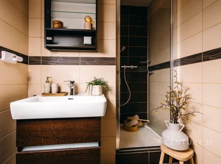 . | Pronájem bytu, 3+kk, 72 m²