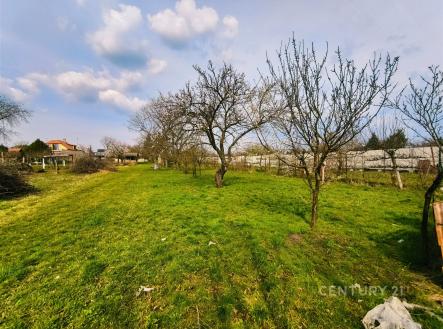 . | Prodej - pozemek pro bydlení, 1 175 m²