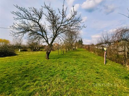 . | Prodej - pozemek pro bydlení, 1 175 m²