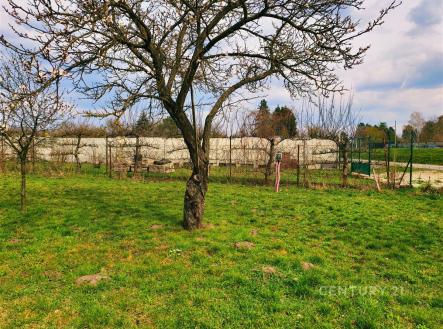 . | Prodej - pozemek pro bydlení, 1 175 m²