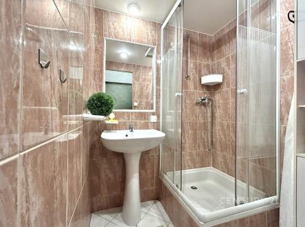 Kompaktní koupelna s dlažbou v imitaci kamene, sprchový kout a bílé sanitární zařízení, moderní osvětlení a zrcadlová stěna | Prodej bytu, 2+1, 54 m²