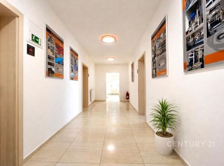 Dlouhá chodba s dlažbou, světlá stěna, moderní osvětlení, dekorativní obrazy a rostlina v květináči vytvářejí přívětivou atmosféru. | Pronájem - skladovací prostor, 81 m²