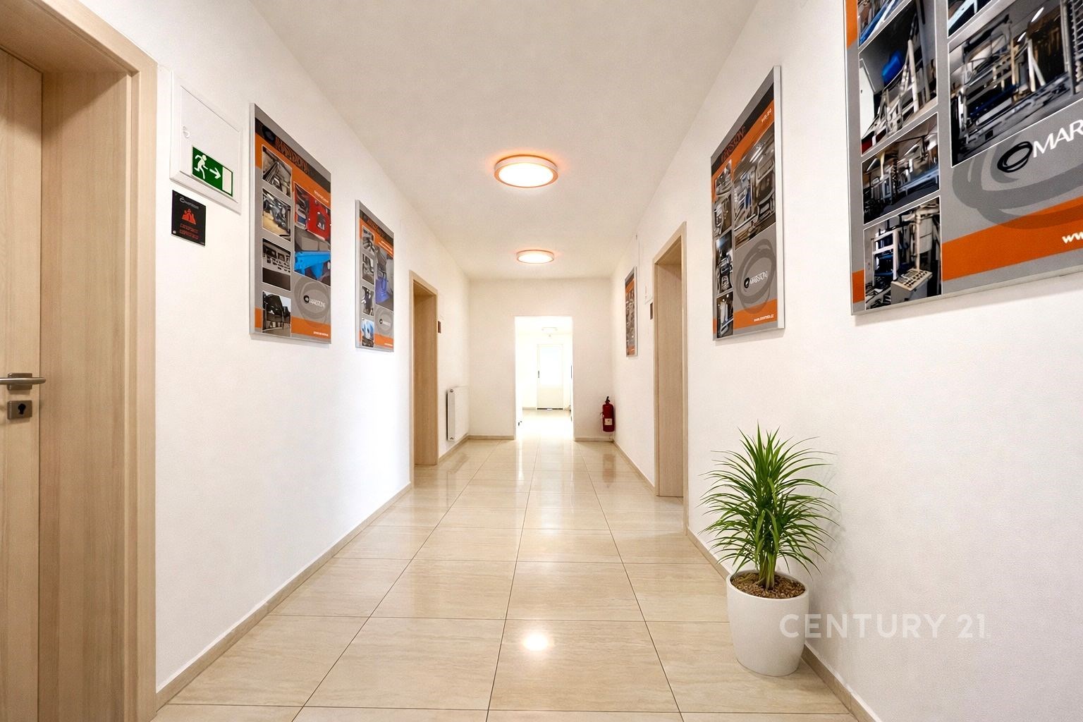 Dlouhá chodba s dlažbou, světlá stěna, moderní osvětlení, dekorativní obrazy a rostlina v květináči vytvářejí přívětivou atmosféru.