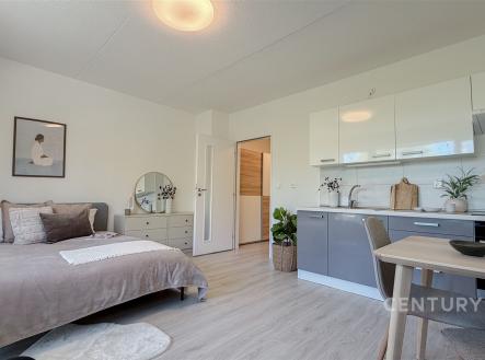 Kompaktní studio s moderní kuchyní, světlá plovoucí podlaha, elegantní nábytek, dostatek denního světla, minimalistický design. | Prodej bytu, 1+kk, 32 m²