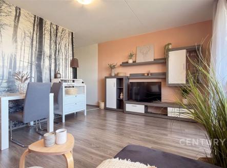 Světlý obývací pokoj s moderními dekoracemi, plovoucí podlaha, velká okna, designový nábytek, svěží interiér. | Prodej bytu, 2+kk, 46 m²