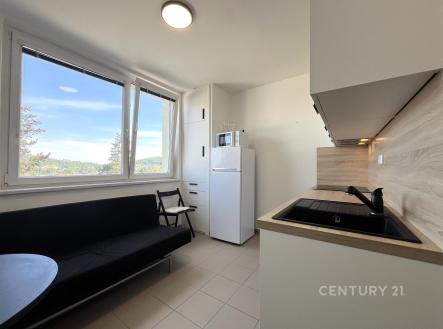 . | Pronájem bytu, 1+1, 32 m²