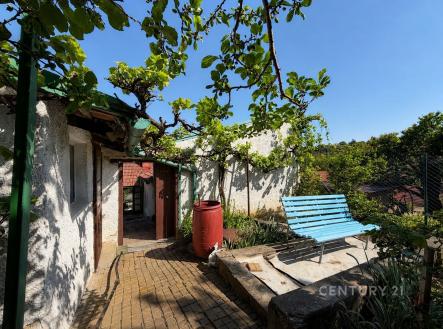 zahrada sv | Prodej - dům/vila, 150 m²