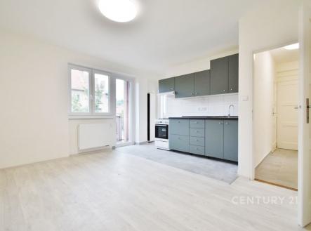 . | Pronájem bytu, 2+1, 57 m²