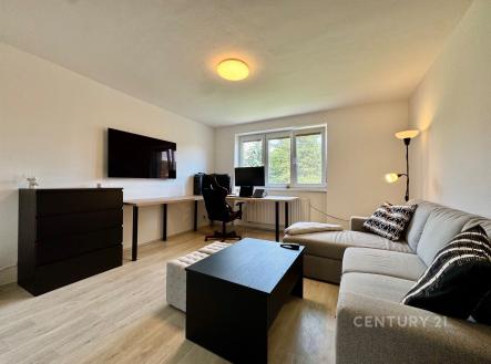 . | Pronájem bytu, 2+1, 57 m²