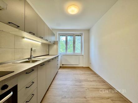 . | Pronájem bytu, 1+1, 40 m²