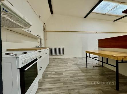 . | Pronájem bytu, 5+kk, 250 m²