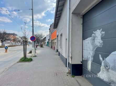 . | Pronájem bytu, 5+kk, 250 m²