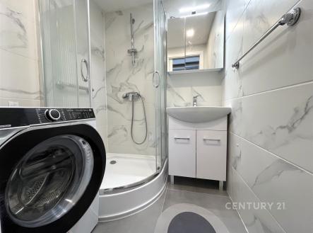 . | Pronájem bytu, 2+1, 53 m²