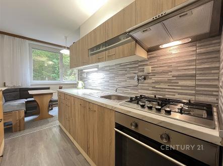 . | Pronájem bytu, 2+1, 53 m²