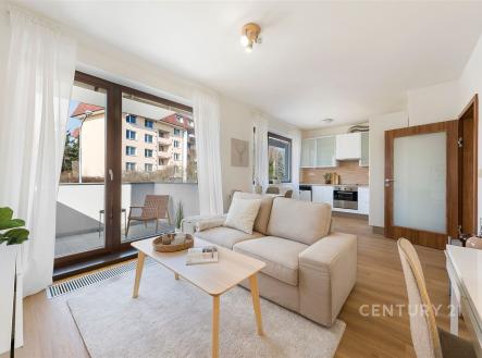 . | Pronájem bytu, 2+kk, 47 m²