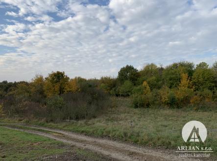 Prodej - pozemek, trvalý travní porost, 7 581 m²