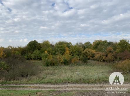 Prodej - pozemek, trvalý travní porost, 7 581 m²