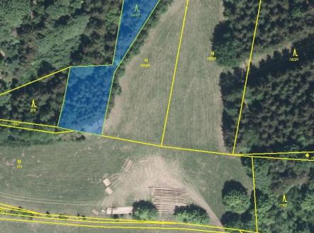 Prodej - pozemek, les, 10 000 m²