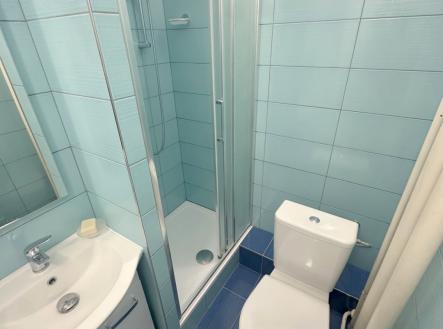 Pronájem bytu, 2+1, 48 m² obrázek