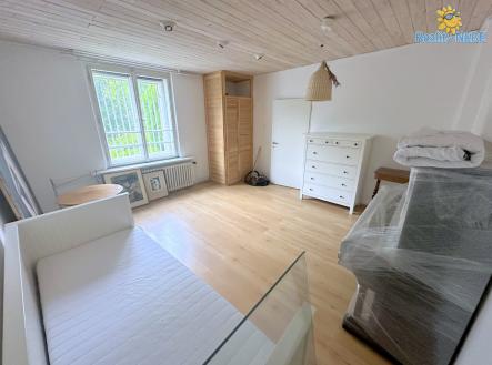 Pronájem - dům/vila, 280 m²