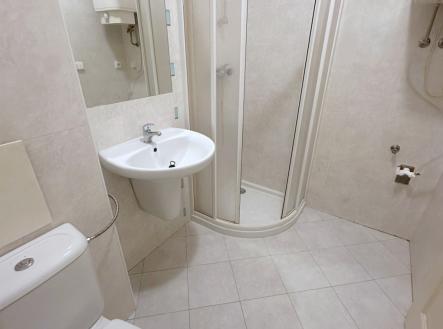 Pronájem bytu, 1+kk, 31 m²