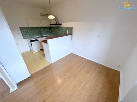 Pronájem bytu, 2+kk, 54 m²