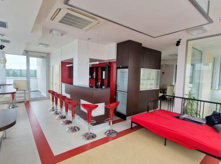 Prodej bytu, 4+kk, 446 m²