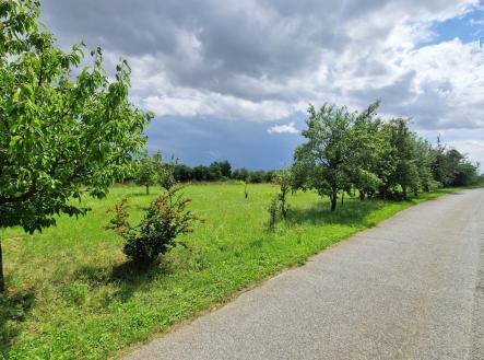 Prodej - pozemek pro bydlení, 3 572 m²