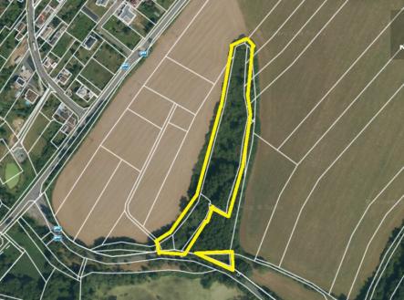 Prodej - pozemek, les, 11 249 m²