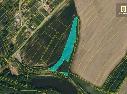 Prodej - pozemek, les, 11 249 m²