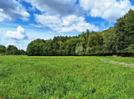 Prodej - pozemek pro bydlení, 3 711 m²