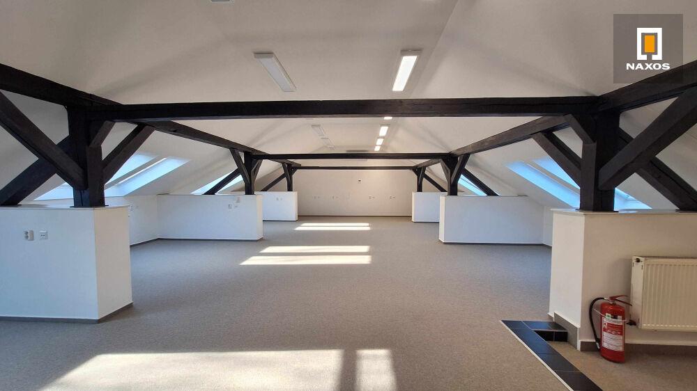 Pronájem kancelářského celku, 272 m2, ul. Nemocniční, Ostrava