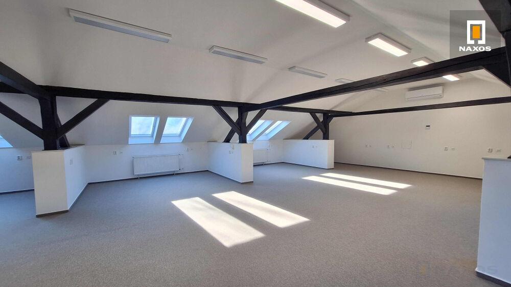 Pronájem kancelářského celku, 272 m2, ul. Nemocniční, Ostrava
