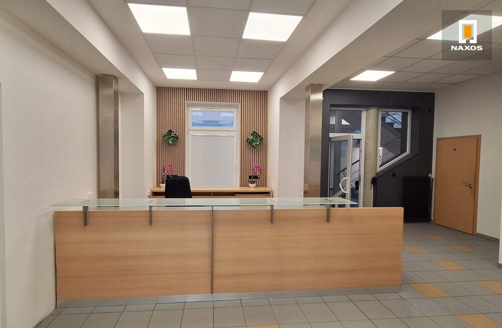 Pronájem kancelářského celku, 272 m2, ul. Nemocniční, Ostrava