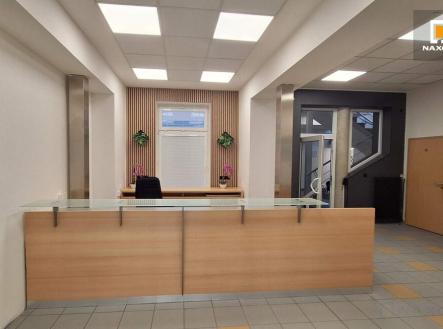 Pronájem - kanceláře, 272 m²