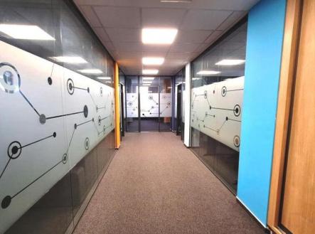 Pronájem - kanceláře, 323 m²