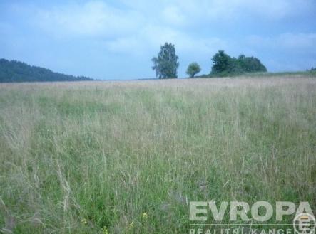 . | Prodej - pozemek, trvalý travní porost, 9 180 m²