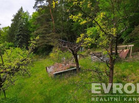 . | Prodej - pozemek, zahrada, 1 185 m²