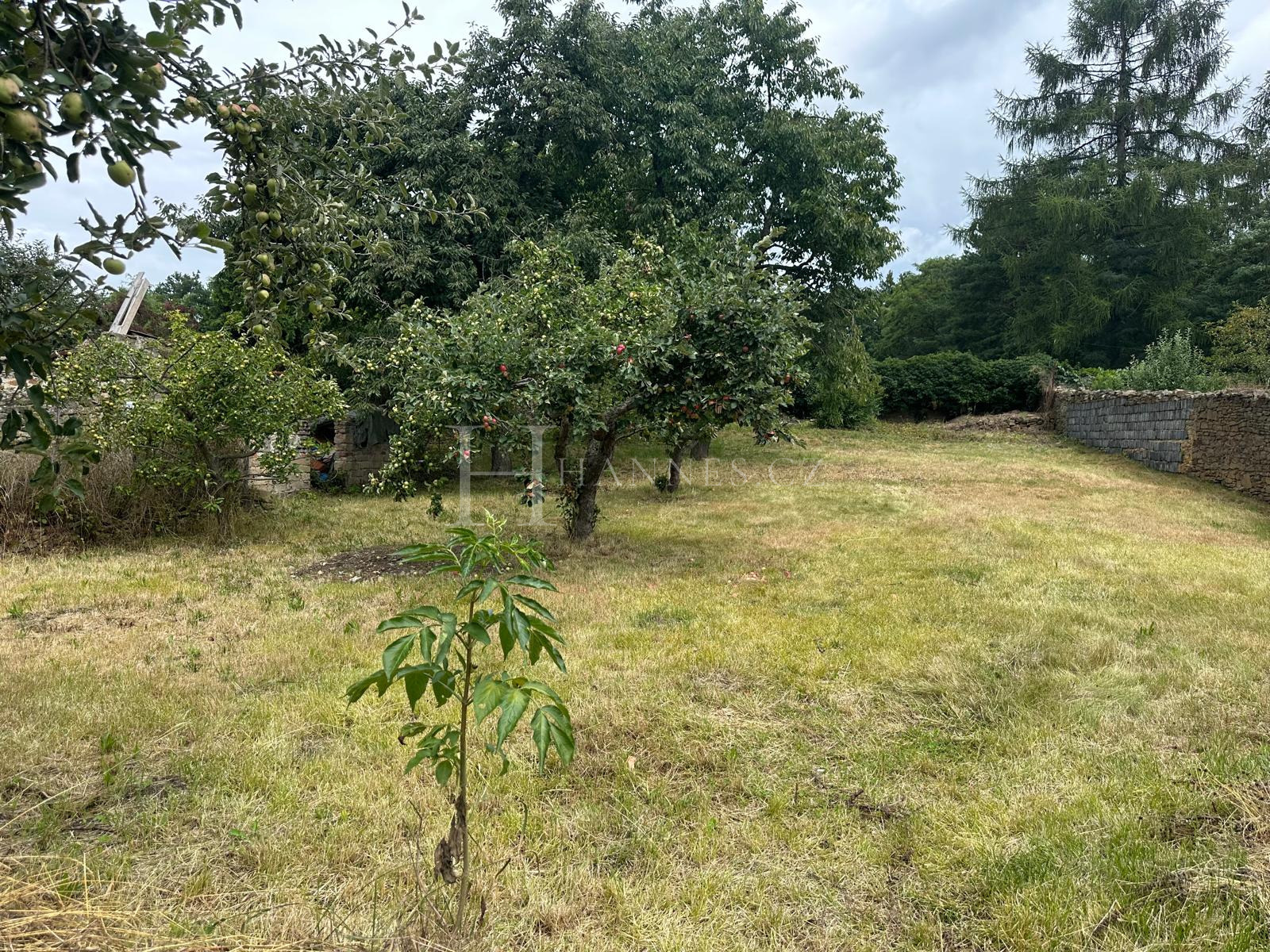 Menší rodinný dům s bytem 2+1, 55m² + zahrada 880m² + kůlna 15m²